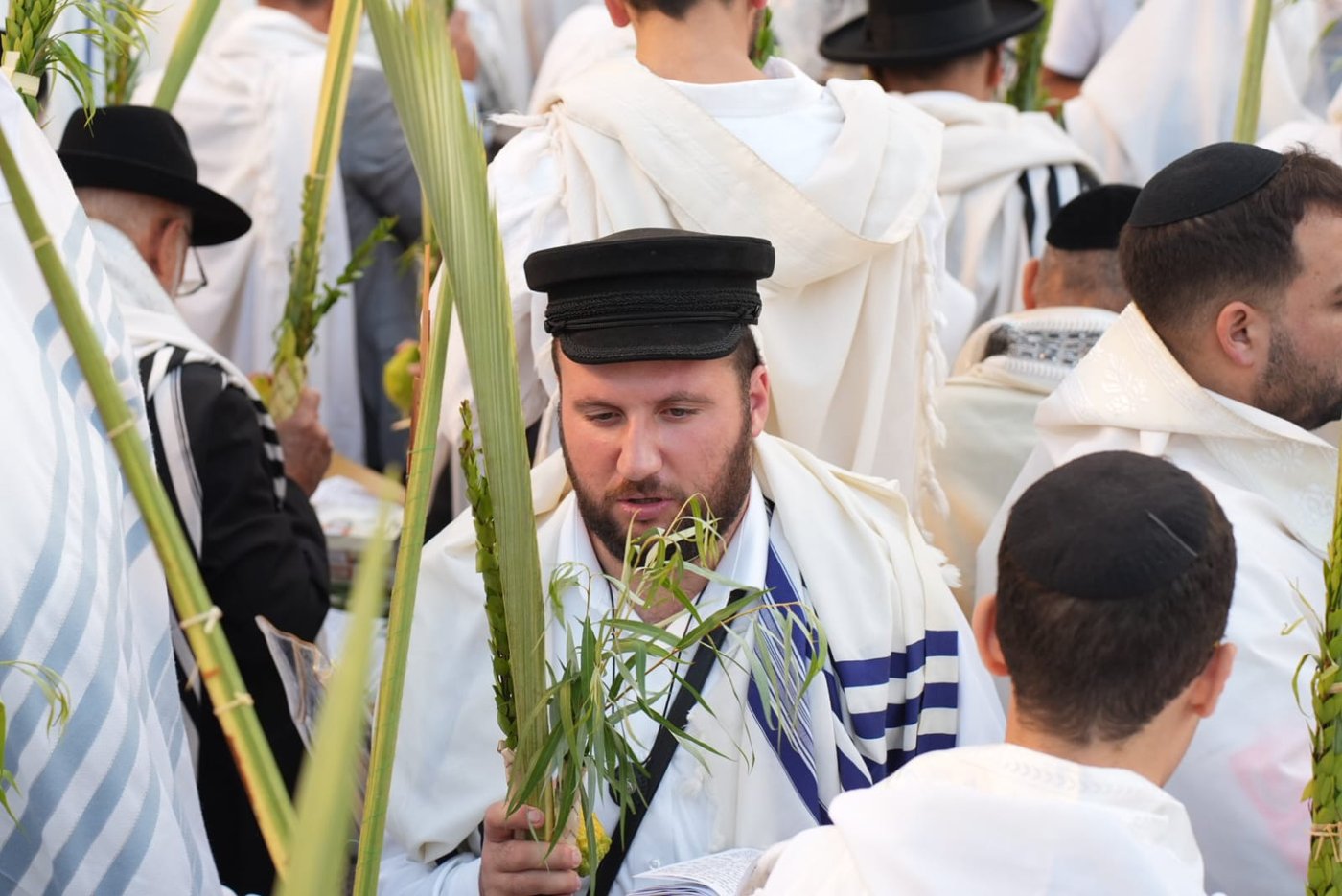 תיעוד: גלרייה אומנותית מרהיבה מהושענא רבא בכותל 