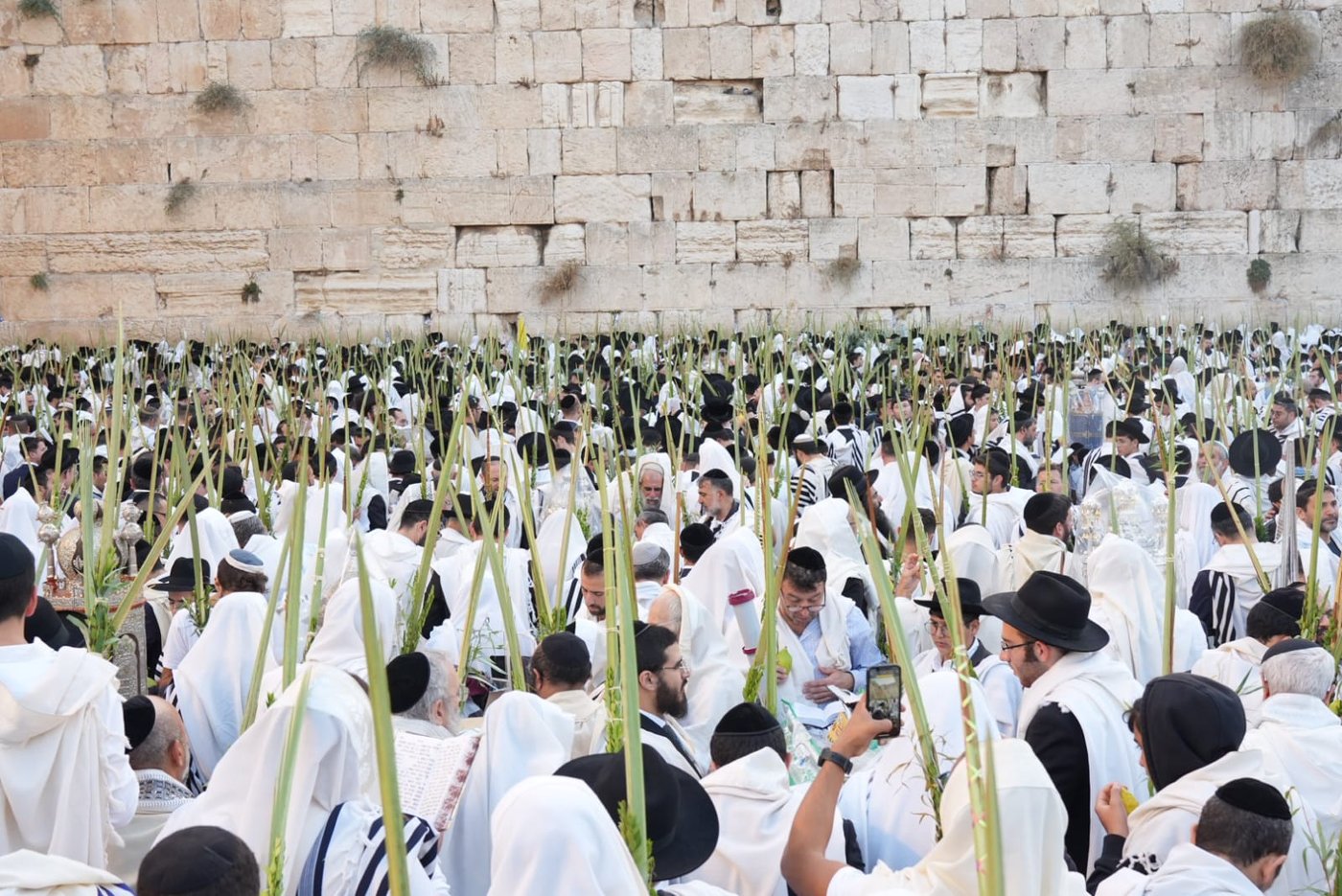 תיעוד: גלרייה אומנותית מרהיבה מהושענא רבא בכותל 