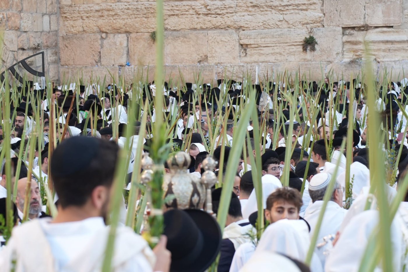תיעוד: גלרייה אומנותית מרהיבה מהושענא רבא בכותל 
