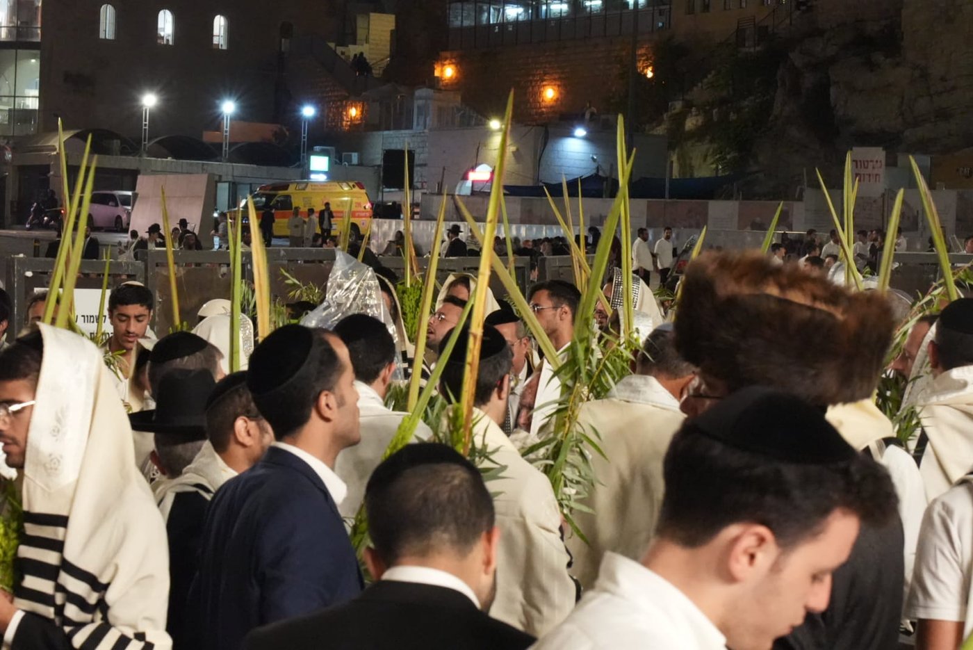 תיעוד: גלרייה אומנותית מרהיבה מהושענא רבא בכותל 