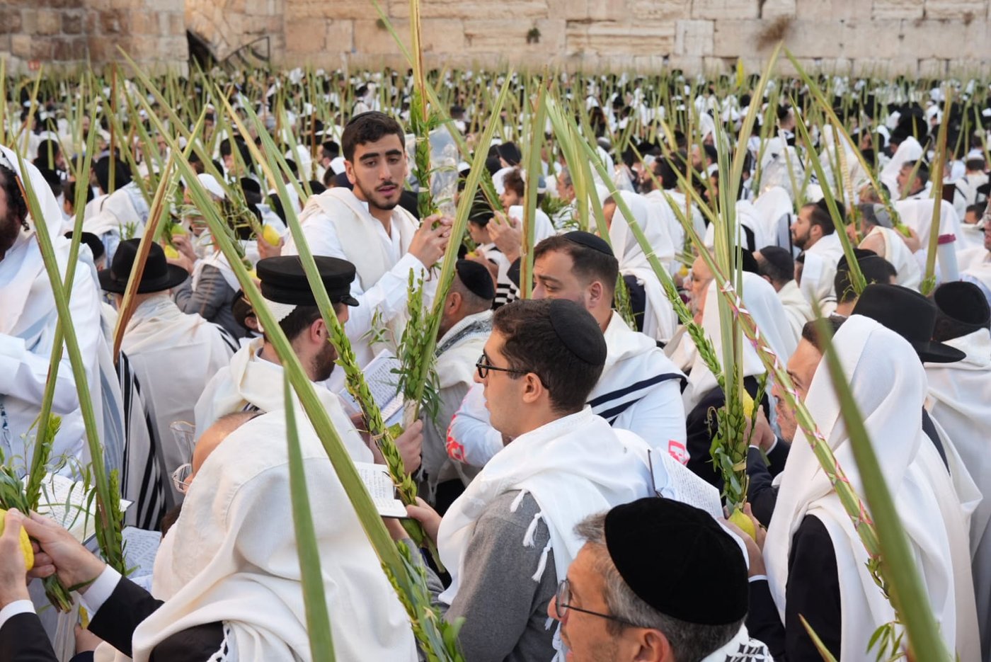 תיעוד: גלרייה אומנותית מרהיבה מהושענא רבא בכותל 