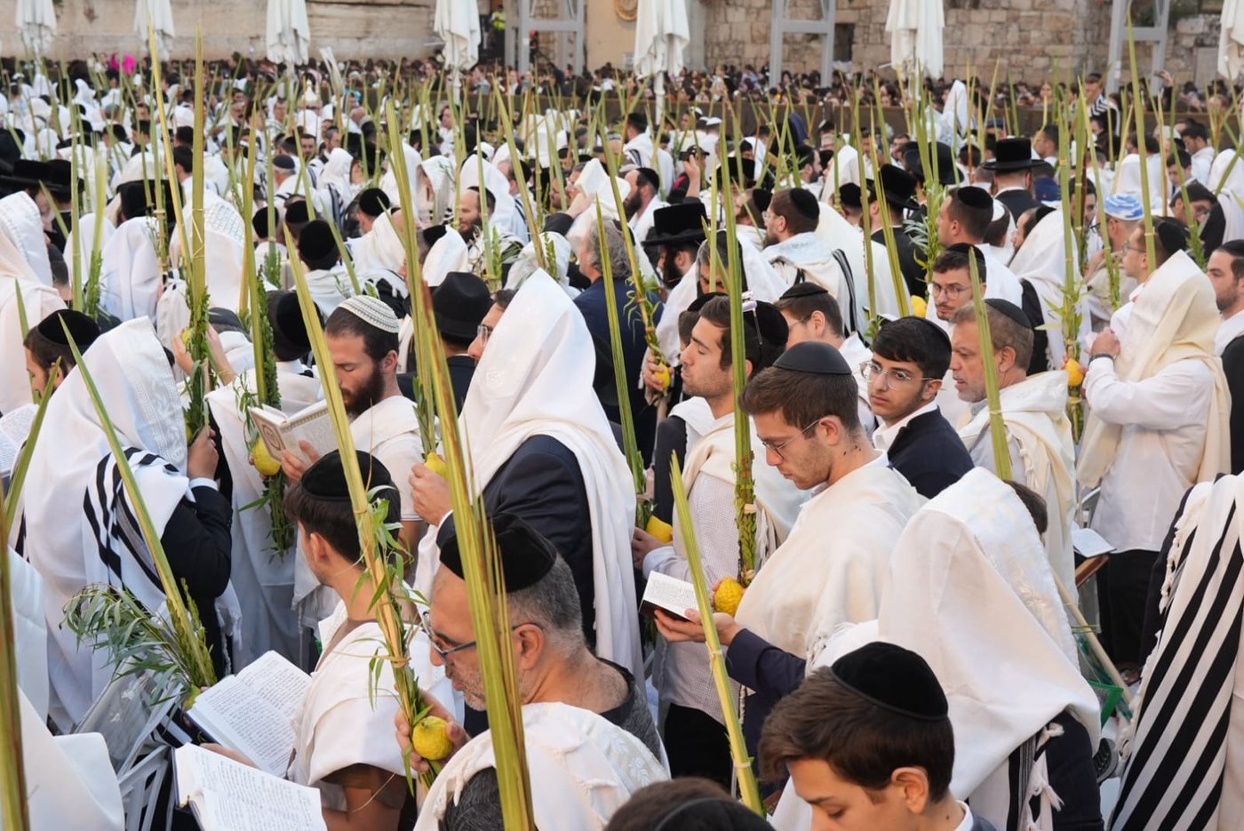 תיעוד: גלרייה אומנותית מרהיבה מהושענא רבא בכותל 