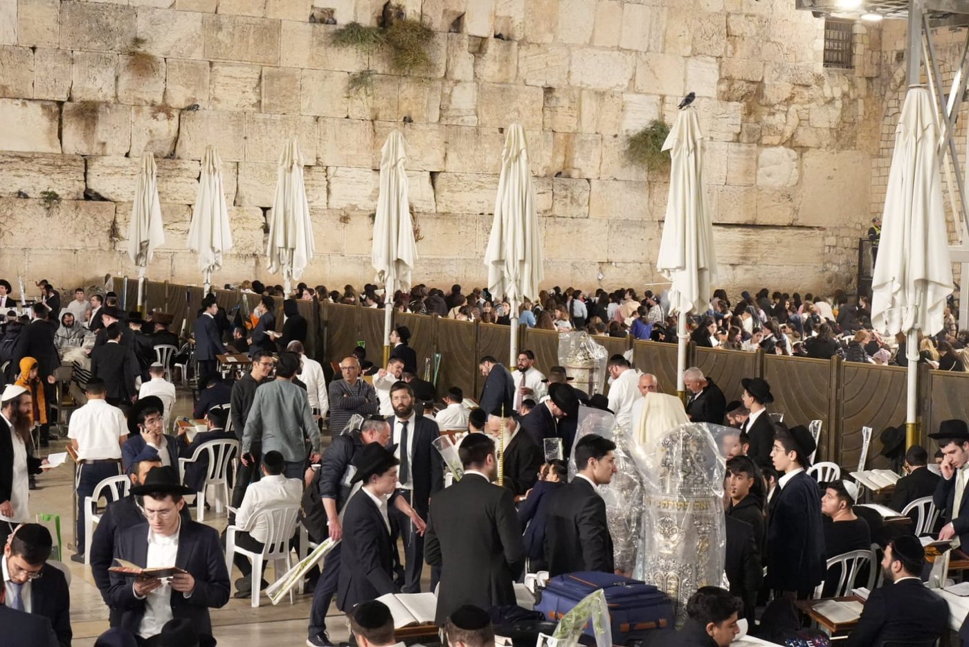 תיעוד: גלרייה אומנותית מרהיבה מהושענא רבא בכותל 