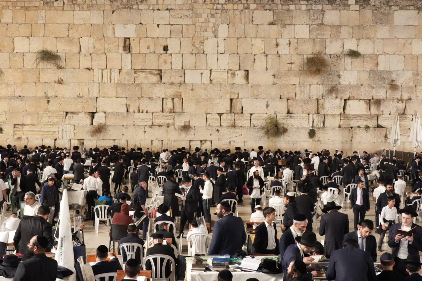 תיעוד: גלרייה אומנותית מרהיבה מהושענא רבא בכותל 