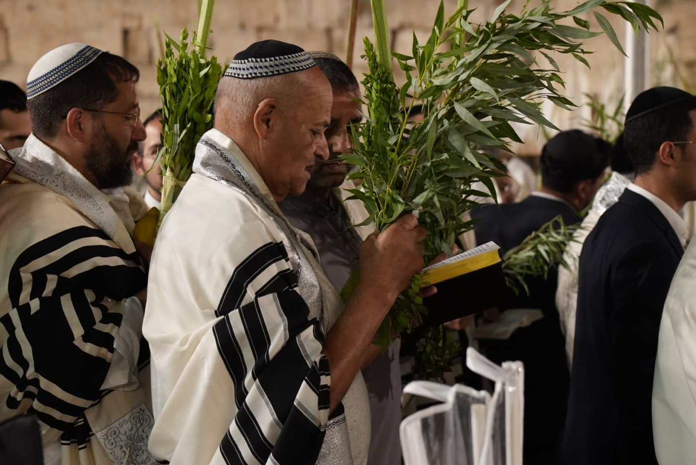תיעוד: גלרייה אומנותית מרהיבה מהושענא רבא בכותל 