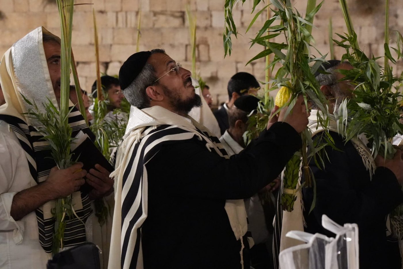 תיעוד: גלרייה אומנותית מרהיבה מהושענא רבא בכותל 