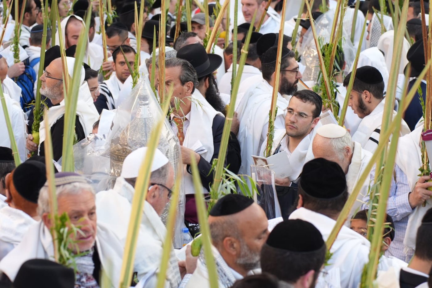 תיעוד: גלרייה אומנותית מרהיבה מהושענא רבא בכותל 