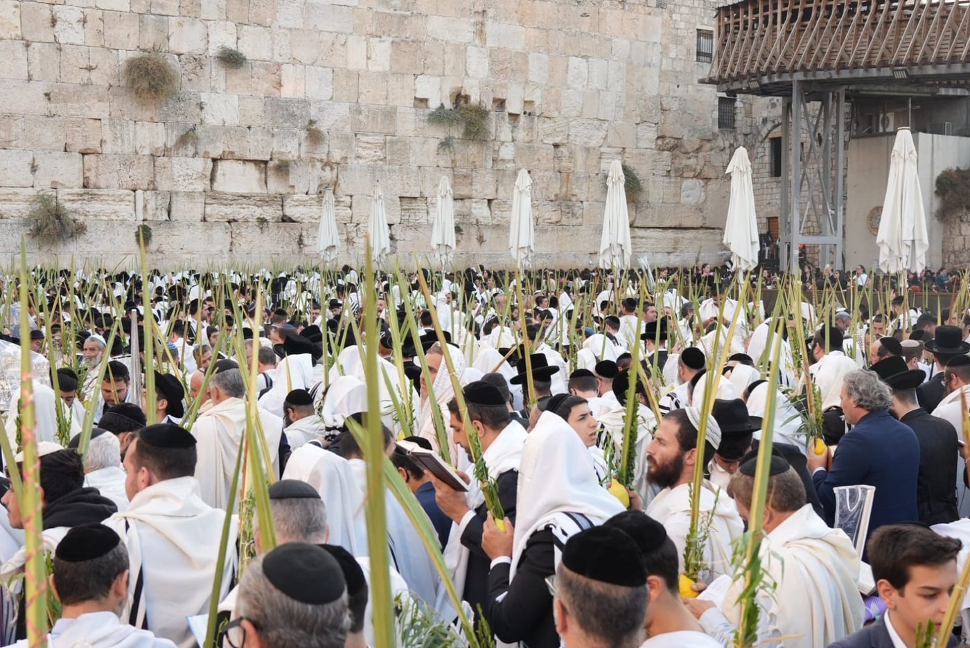 תיעוד: גלרייה אומנותית מרהיבה מהושענא רבא בכותל 