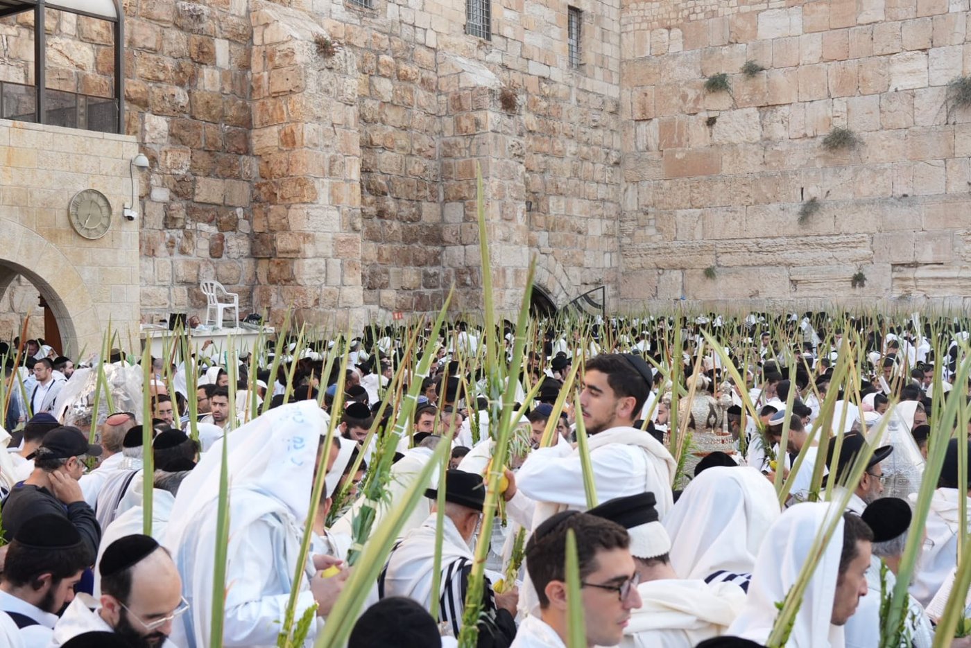 תיעוד: גלרייה אומנותית מרהיבה מהושענא רבא בכותל 