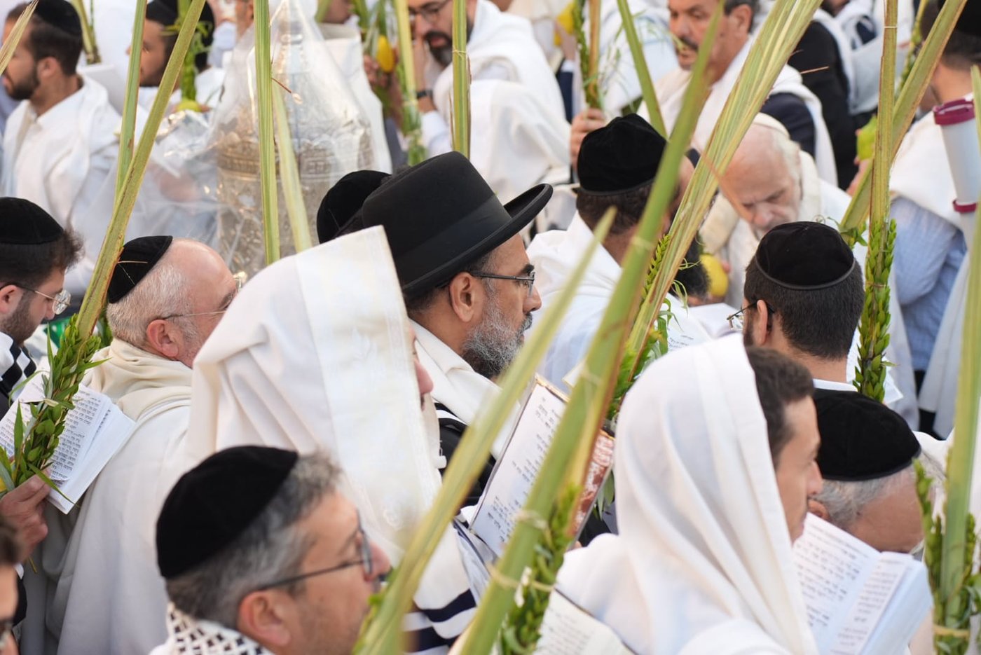 תיעוד: גלרייה אומנותית מרהיבה מהושענא רבא בכותל 