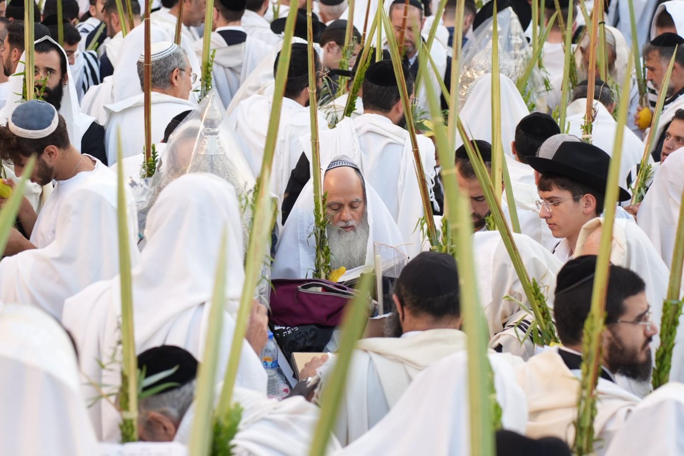תיעוד: גלרייה אומנותית מרהיבה מהושענא רבא בכותל 