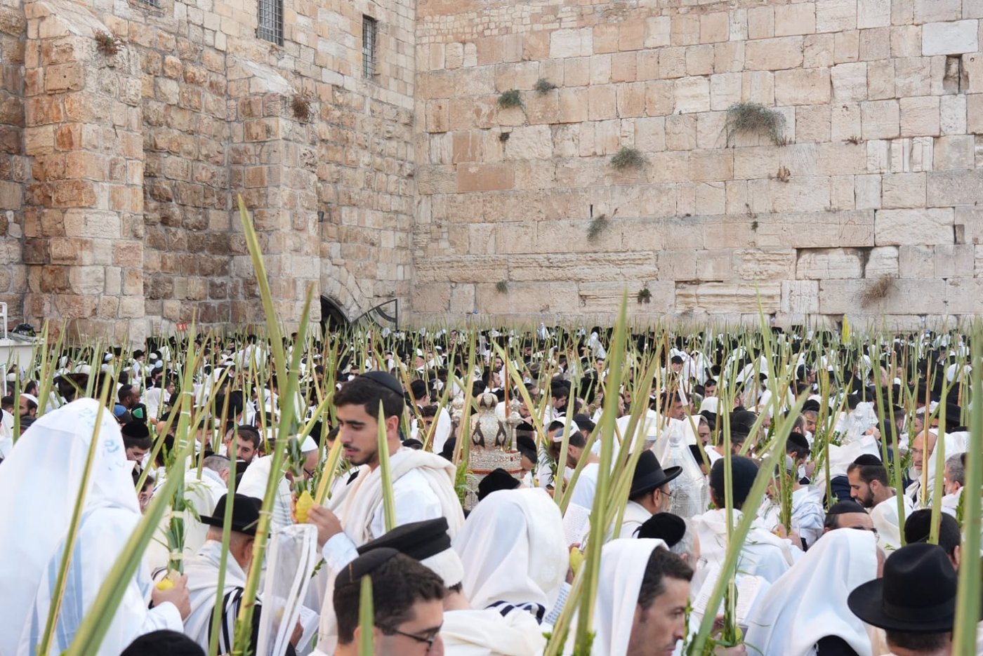 תיעוד: גלרייה אומנותית מרהיבה מהושענא רבא בכותל 