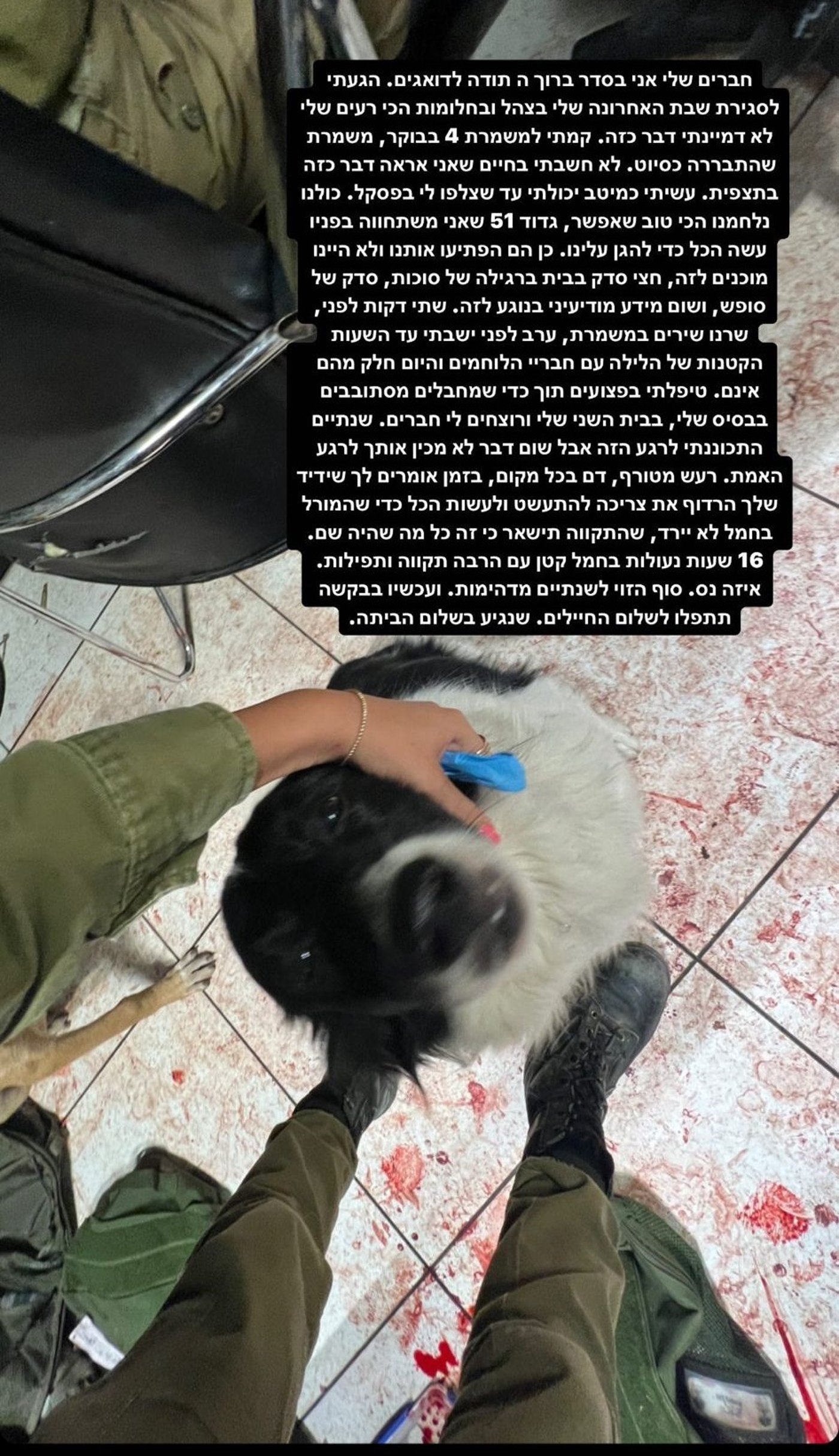 הפוסט של התצפיתנית