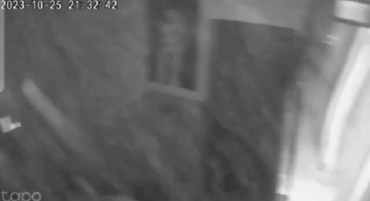 נס ענק מול המצלמה: כך ניצלה משפחה ישראלית מפגיעת טיל
