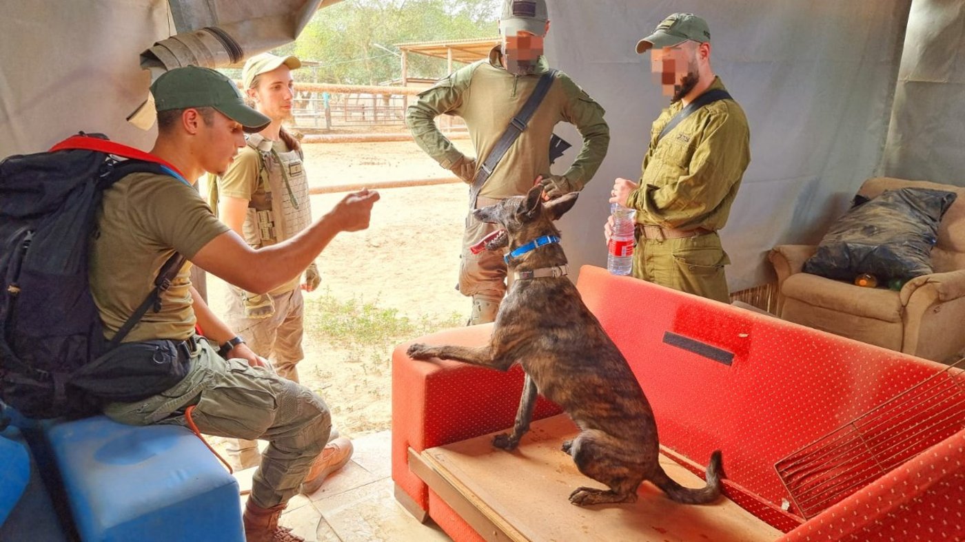 בחיפושים בשטח: מאתרים שרידים וממצאים מהטבח הנורא