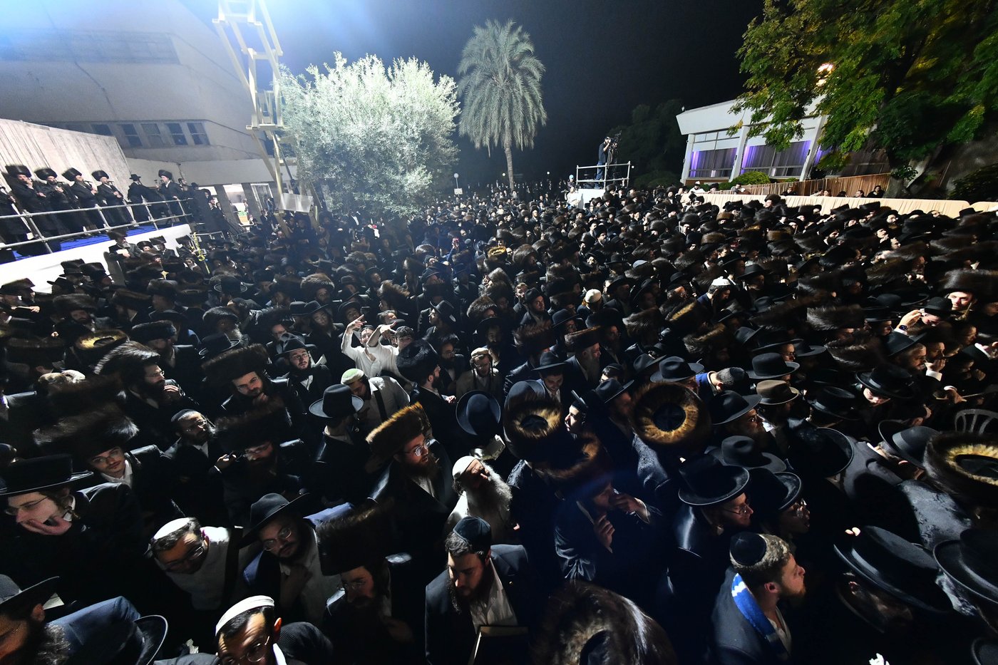 חתונת בן הגרי"מ מורגנשטרן ב'אווניו'