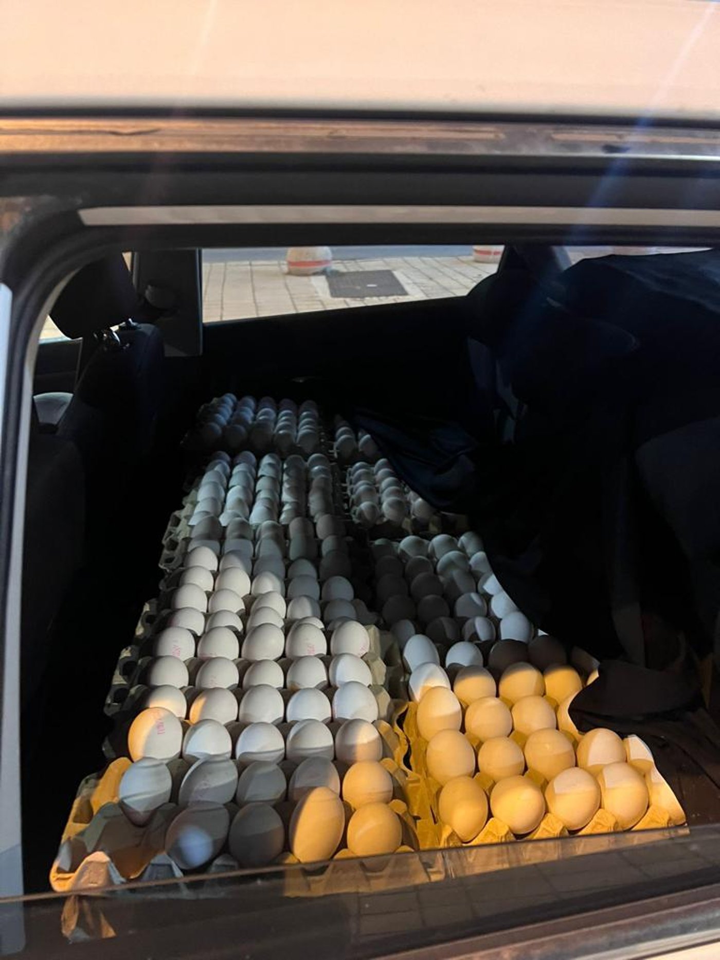 7000 ביצים מהשטחים נתפסו, רגע לפני שהוכנסו לירושלים