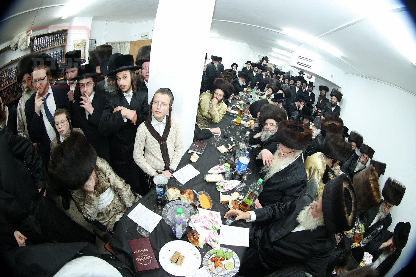מלווה מלכה וסיום 'תניא' אצל המקובל הגה"צ רבי אביש ציינווירט 