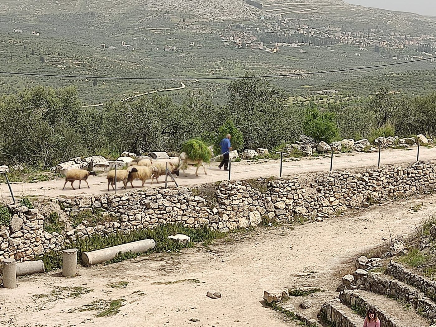 התחזית: היום ומחר יהיה חם מהרגיל; החורף יחזור ברביעי