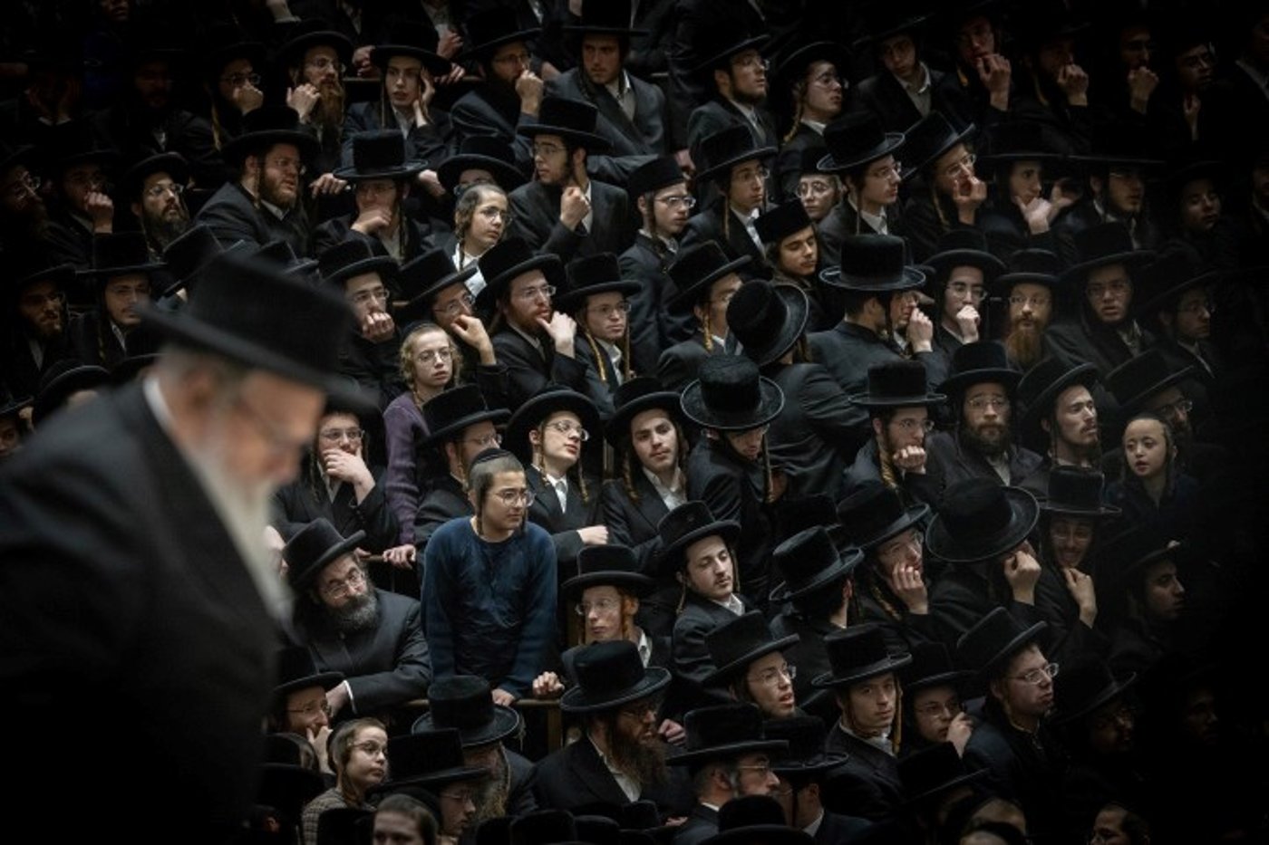 בעזלא: הגבאים עלו לשולחן וחילקו פרות ט"ו בשבט לחסידים