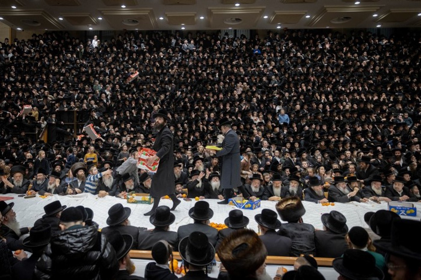 בעזלא: הגבאים עלו לשולחן וחילקו פרות ט"ו בשבט לחסידים