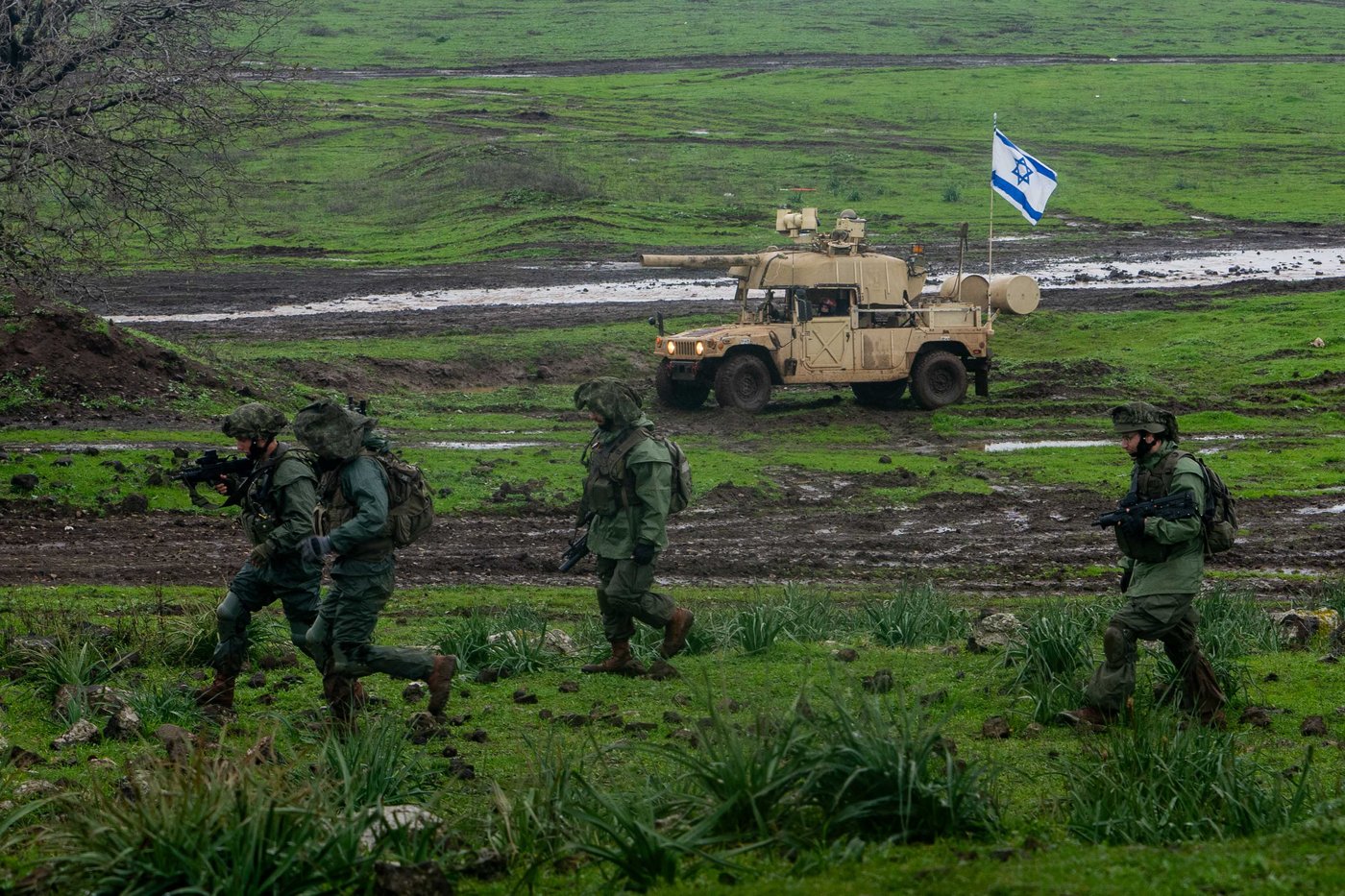 כוחות צה"ל בזירה הצפונית