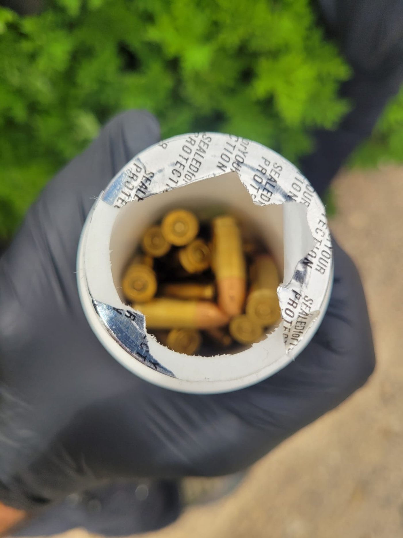 בפשיטה על בית פרטי נתפסו ציפורי שיר, דורבנים קפואים וכלי צייד