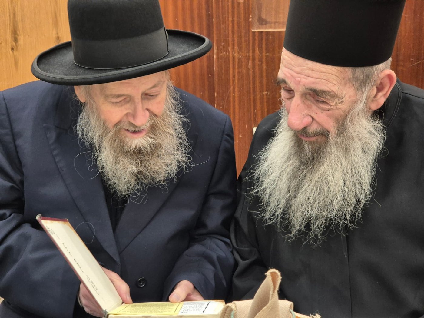 זופניק בכיכר • כל התמונות, הנייעס והחשיפות של השבוע