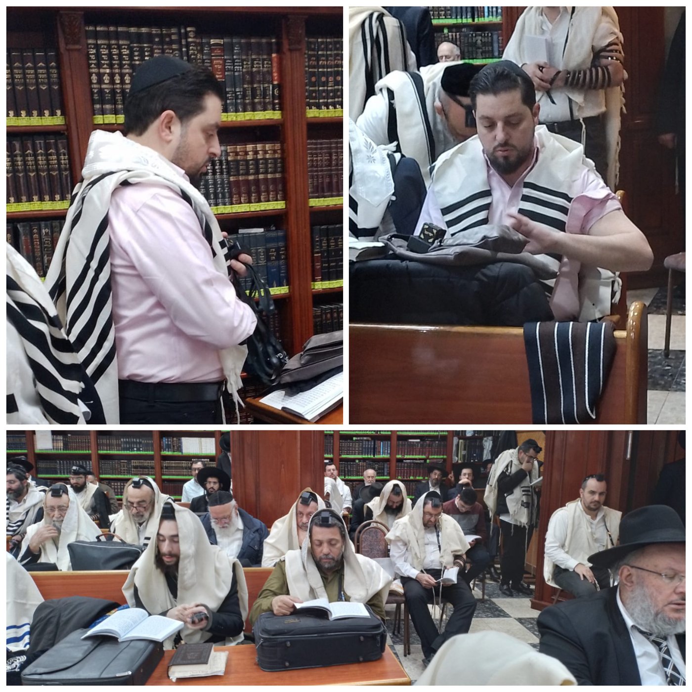 זופניק בכיכר • כל התמונות, הנייעס והחשיפות של השבוע