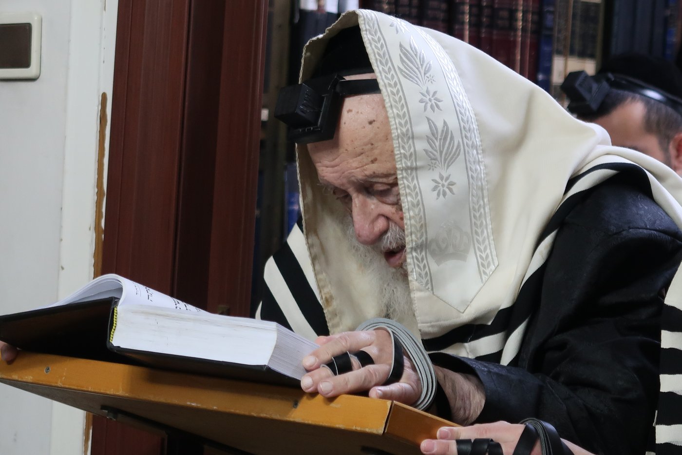 חצי יובל לפטירת הגר"ד פוברסקי
