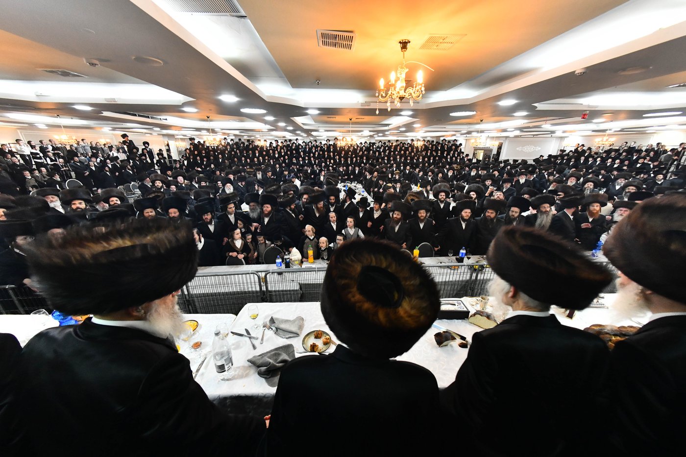 אבי הכלה התחדש עם שטריימל חדש, והסבא שבר את הצלחת