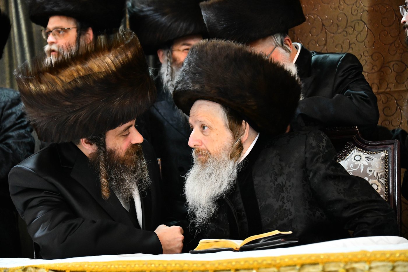 אבי הכלה התחדש עם שטריימל חדש, והסבא שבר את הצלחת
