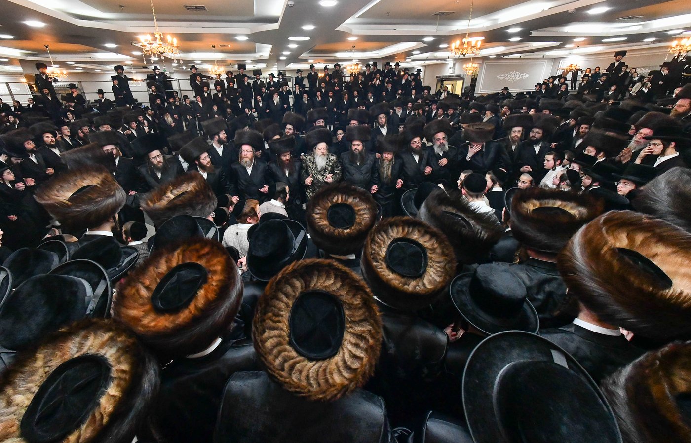 אבי הכלה התחדש עם שטריימל חדש, והסבא שבר את הצלחת