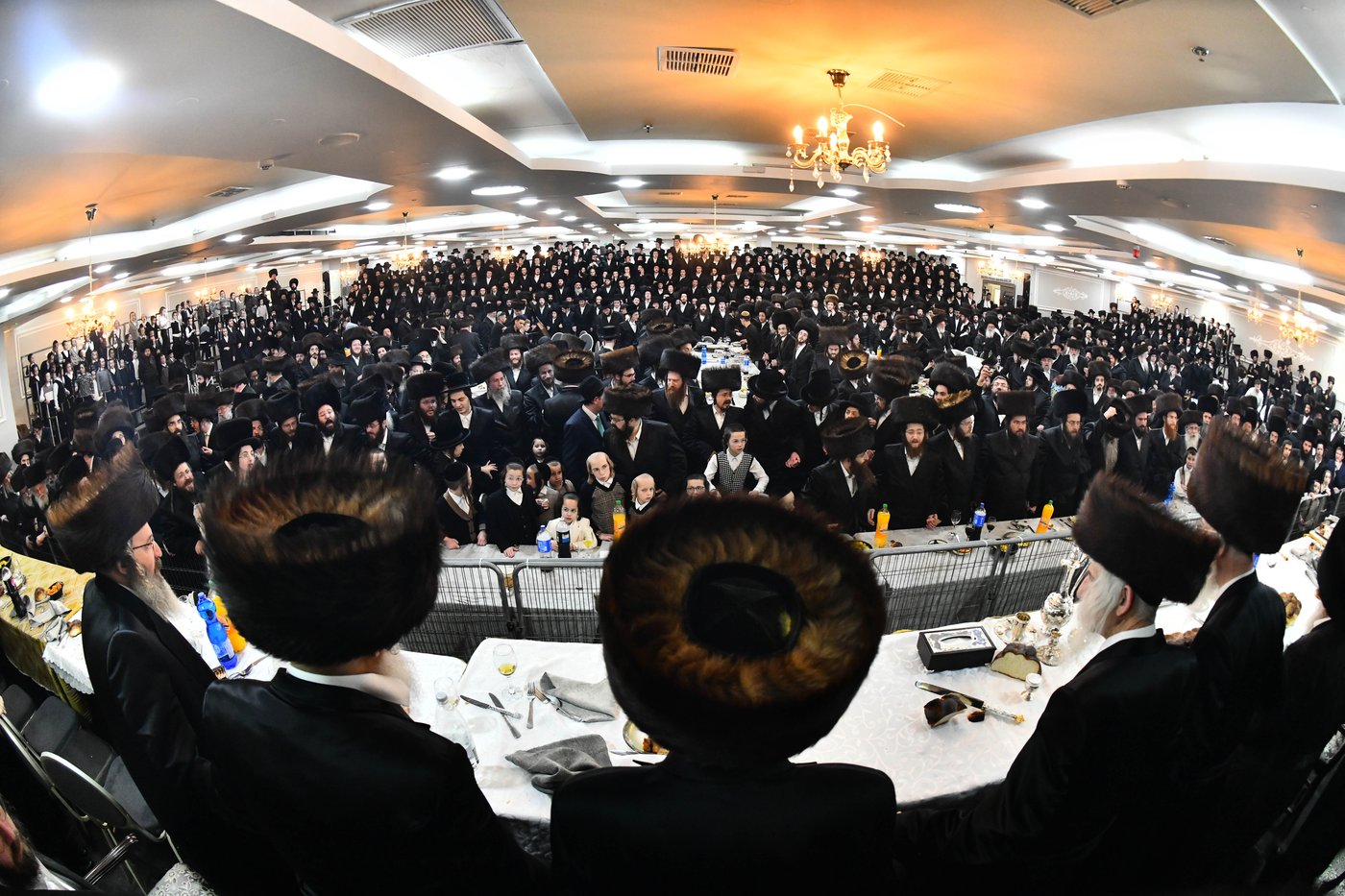 אבי הכלה התחדש עם שטריימל חדש, והסבא שבר את הצלחת