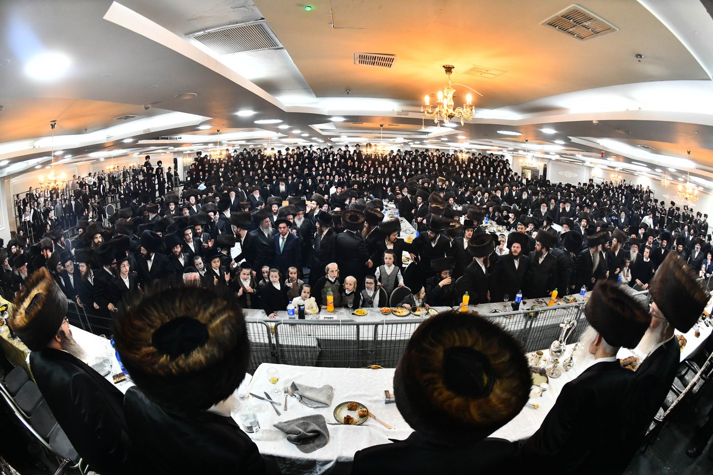 אבי הכלה התחדש עם שטריימל חדש, והסבא שבר את הצלחת