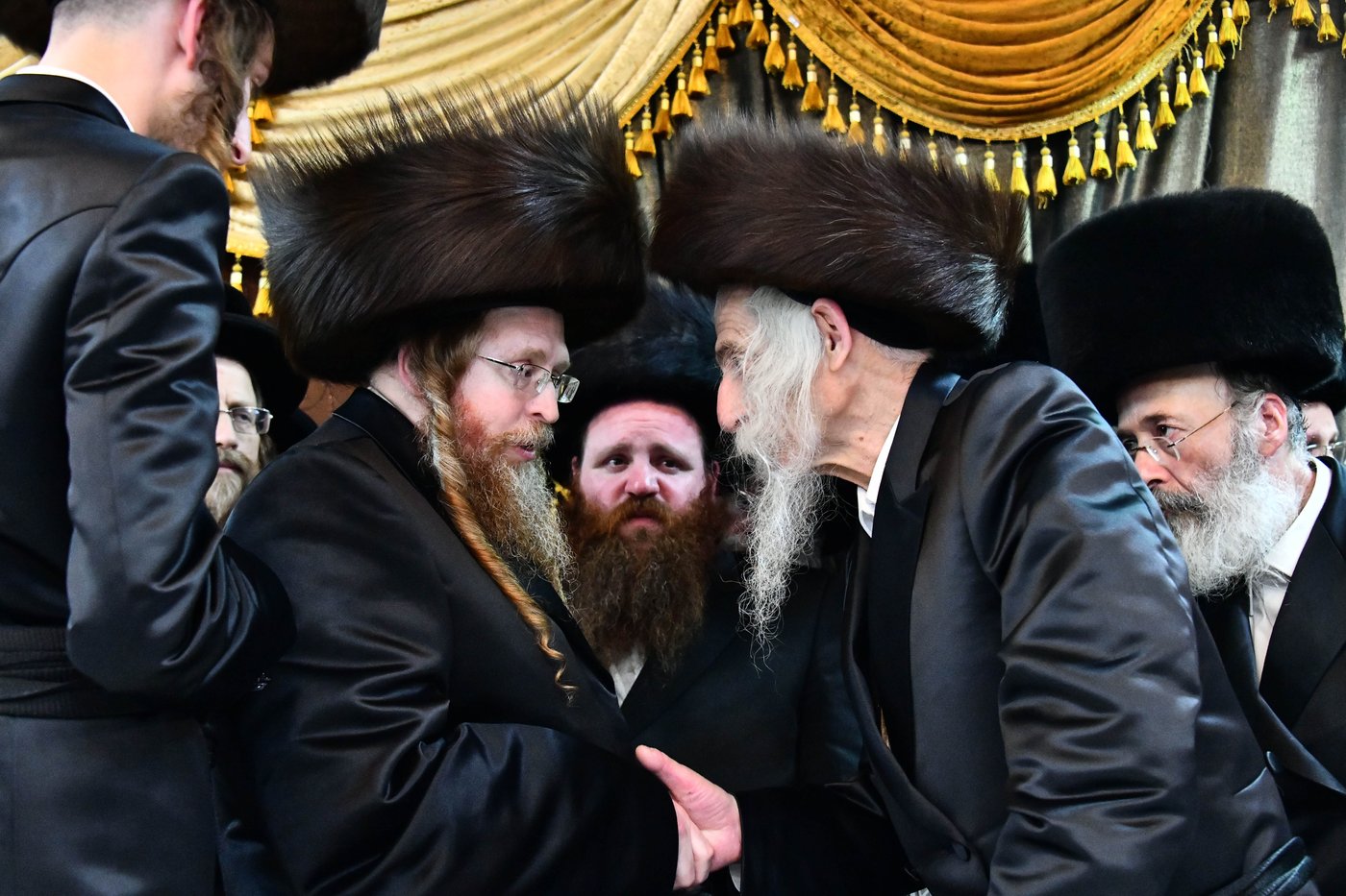 אבי הכלה התחדש עם שטריימל חדש, והסבא שבר את הצלחת