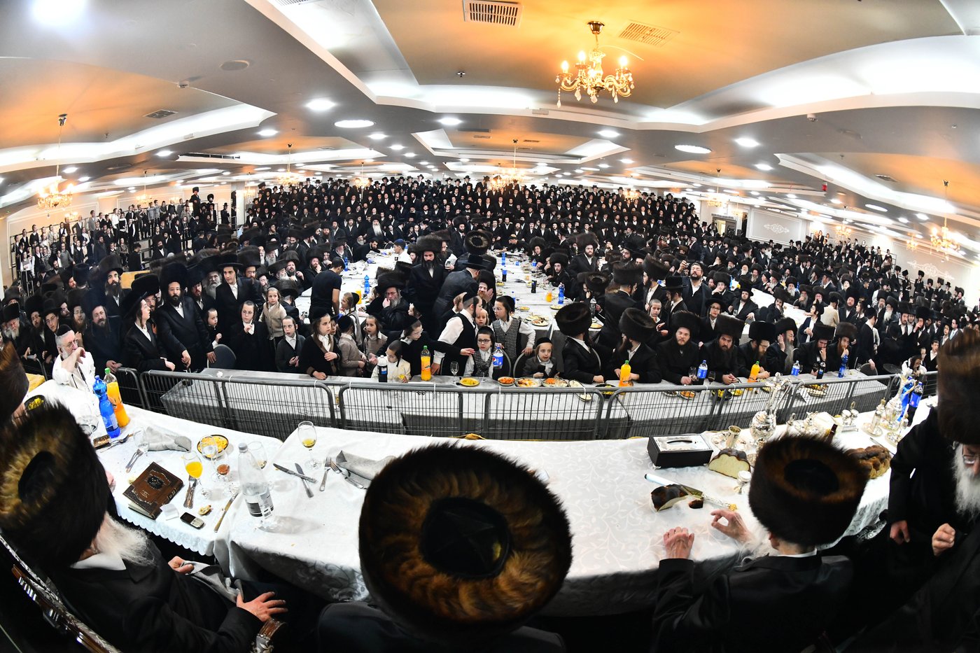 אבי הכלה התחדש עם שטריימל חדש, והסבא שבר את הצלחת