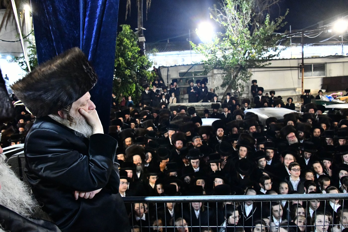 אבי הכלה התחדש עם שטריימל חדש, והסבא שבר את הצלחת
