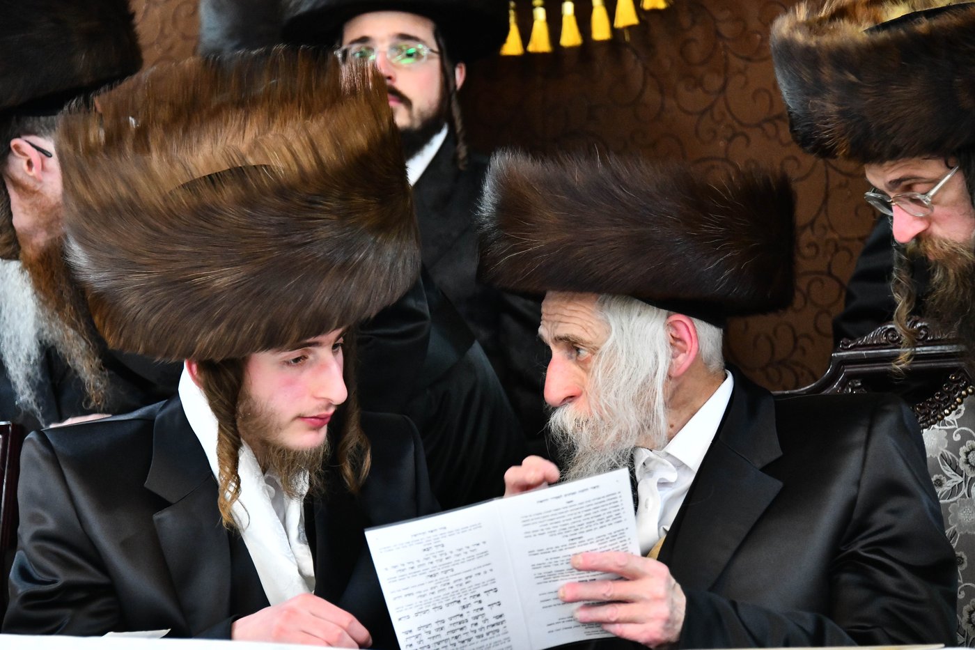 אבי הכלה התחדש עם שטריימל חדש, והסבא שבר את הצלחת
