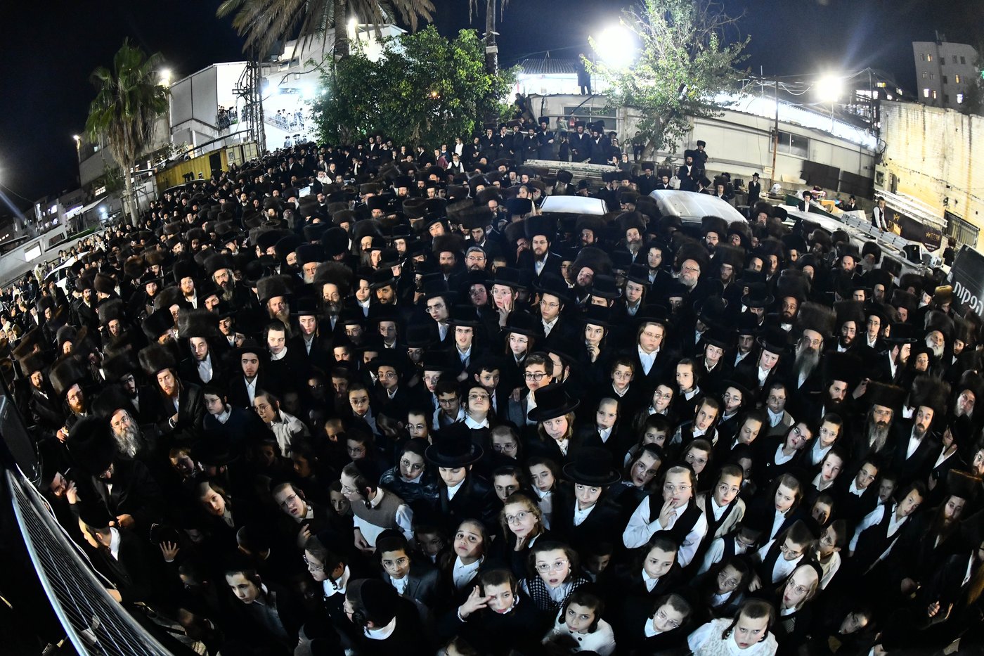 אבי הכלה התחדש עם שטריימל חדש, והסבא שבר את הצלחת