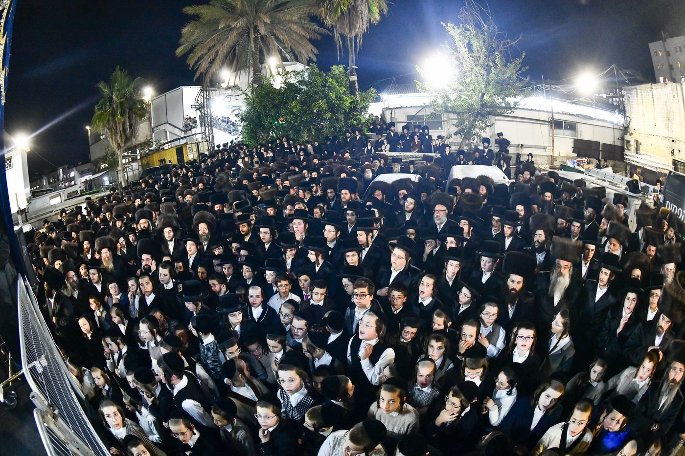 אבי הכלה התחדש עם שטריימל חדש, והסבא שבר את הצלחת