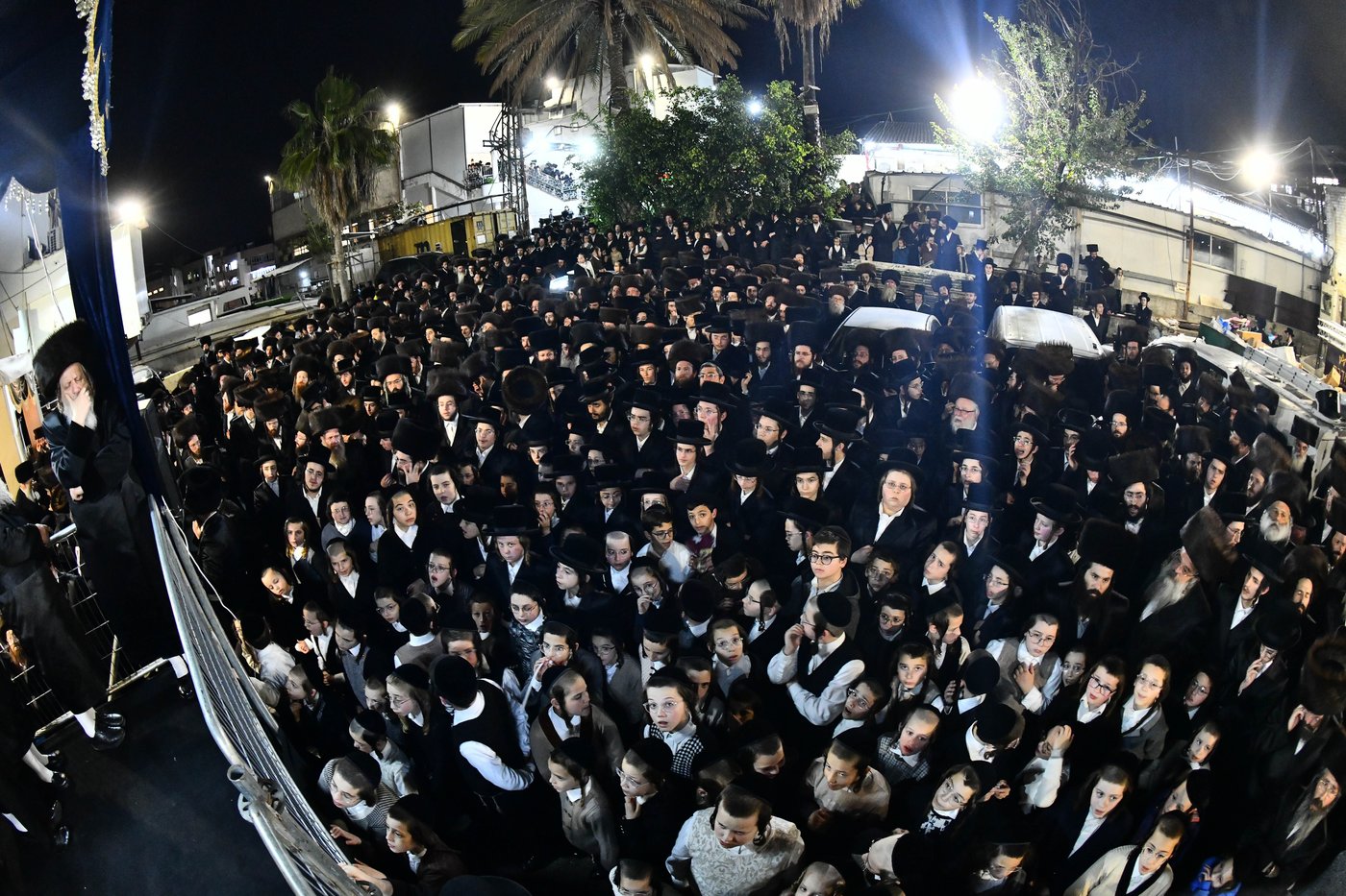 אבי הכלה התחדש עם שטריימל חדש, והסבא שבר את הצלחת