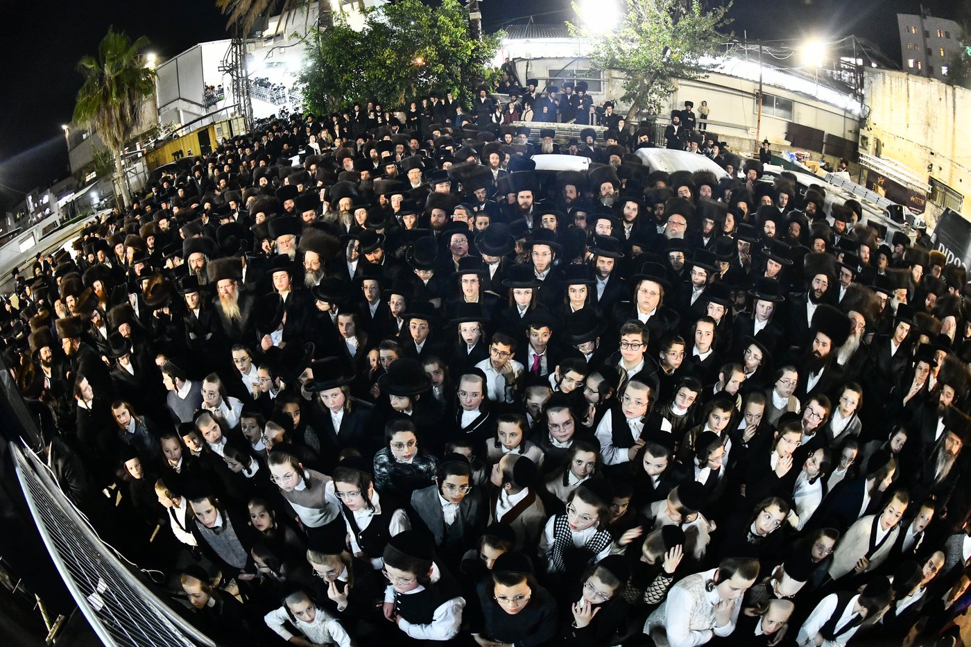 אבי הכלה התחדש עם שטריימל חדש, והסבא שבר את הצלחת