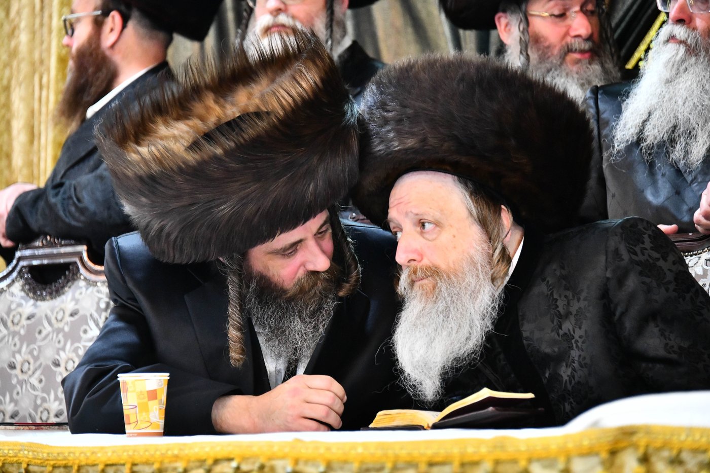 אבי הכלה התחדש עם שטריימל חדש, והסבא שבר את הצלחת