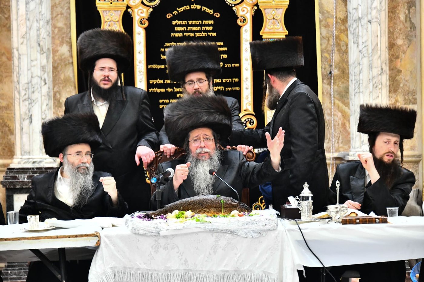 האדמו"ר משבט הלוי בפורים תשפ"ד