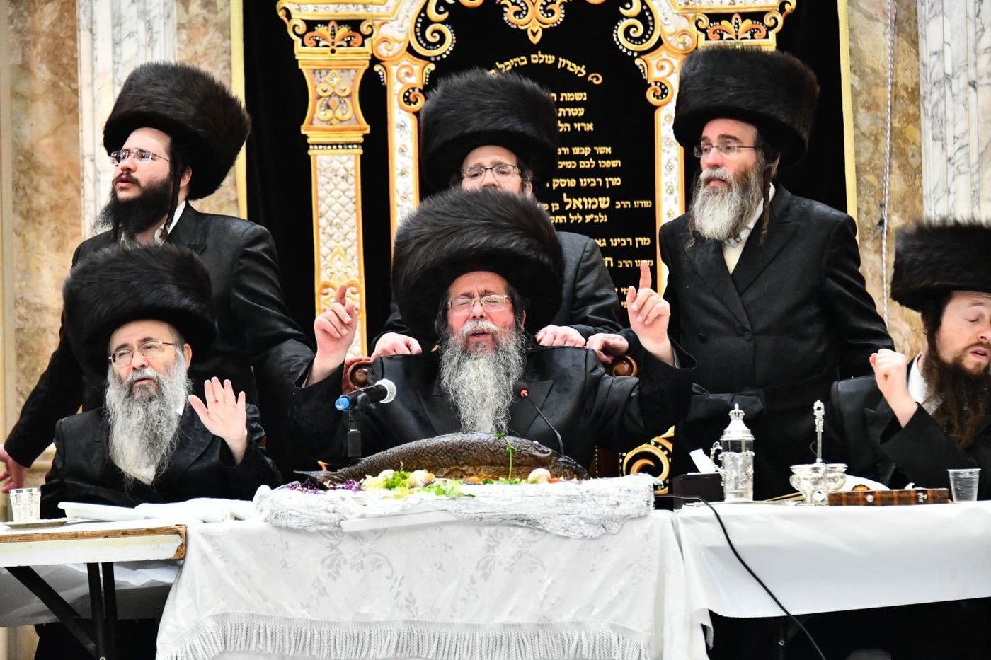 האדמו"ר משבט הלוי בפורים תשפ"ד