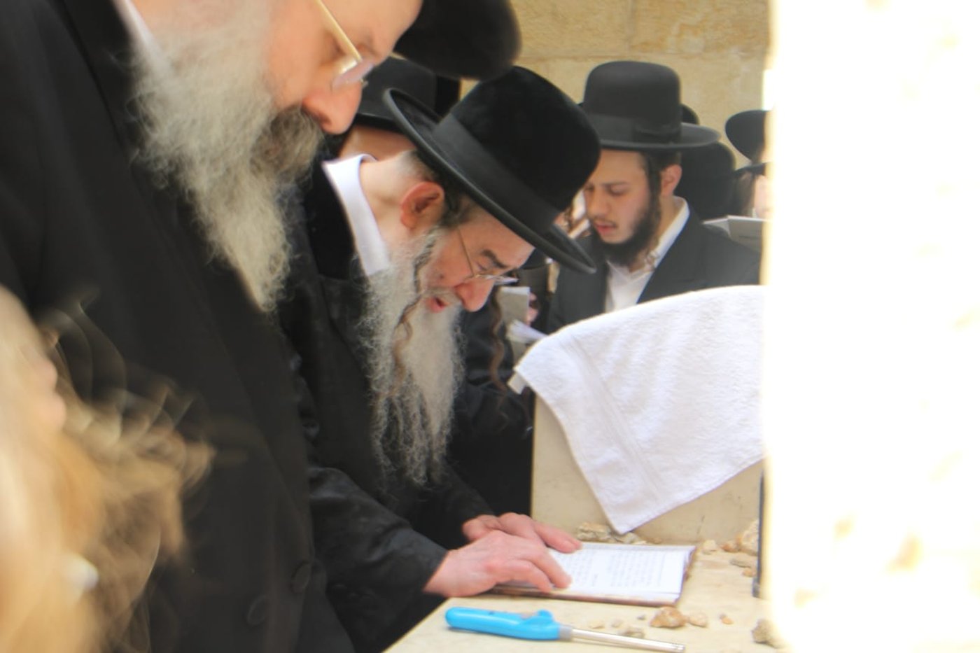 כך פקד האדמו"ר מאלכסנדר את אוהל צדיקי החצר | צפו