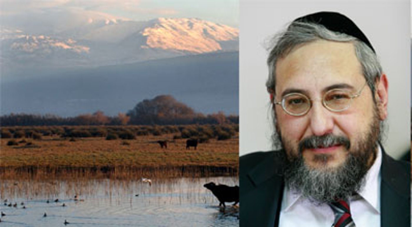 אמסלם על רקע הגולן.