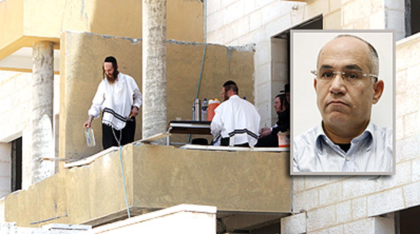 יונה על רקע אחד מדירות חפציבה.
