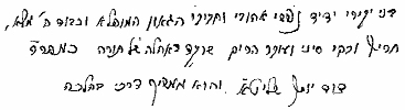 "בני רבי דוד, הוא ממשיך דרכי"